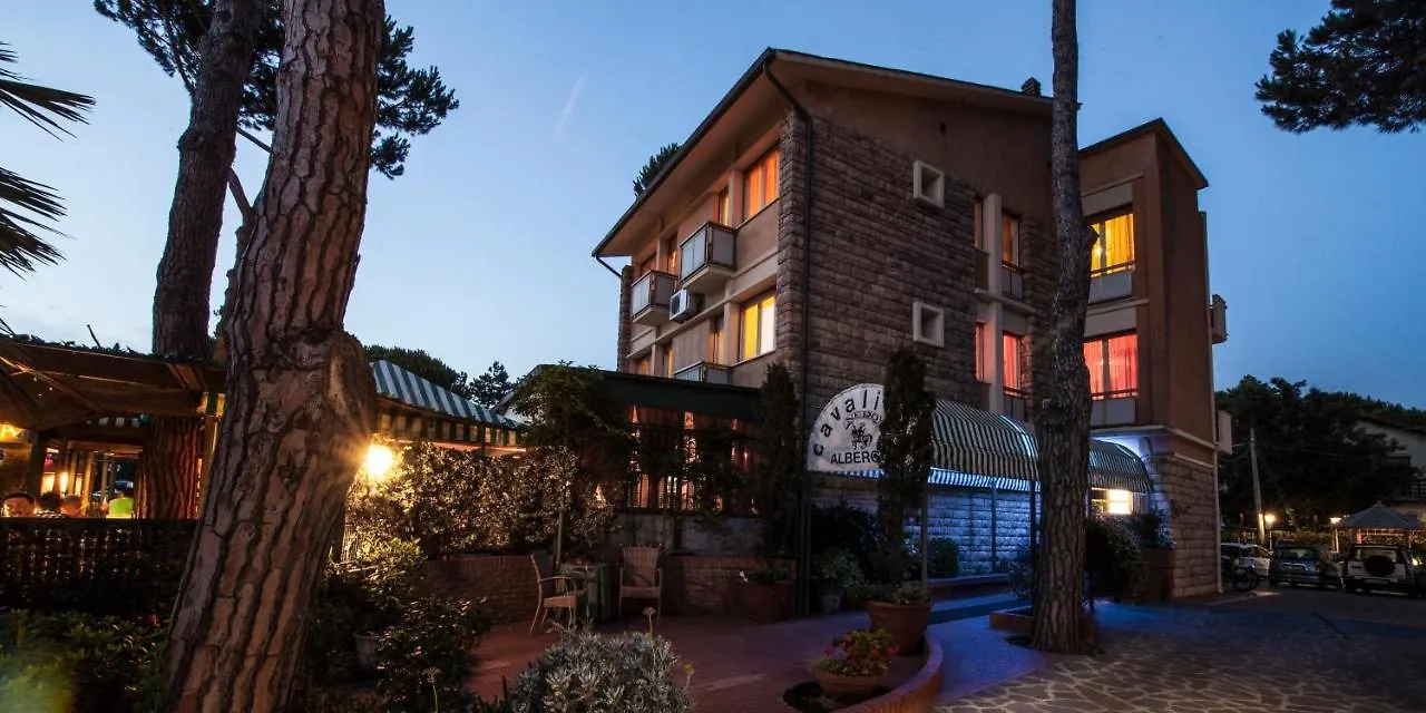 Hotel Il Cavaliere Nero Tirrenia